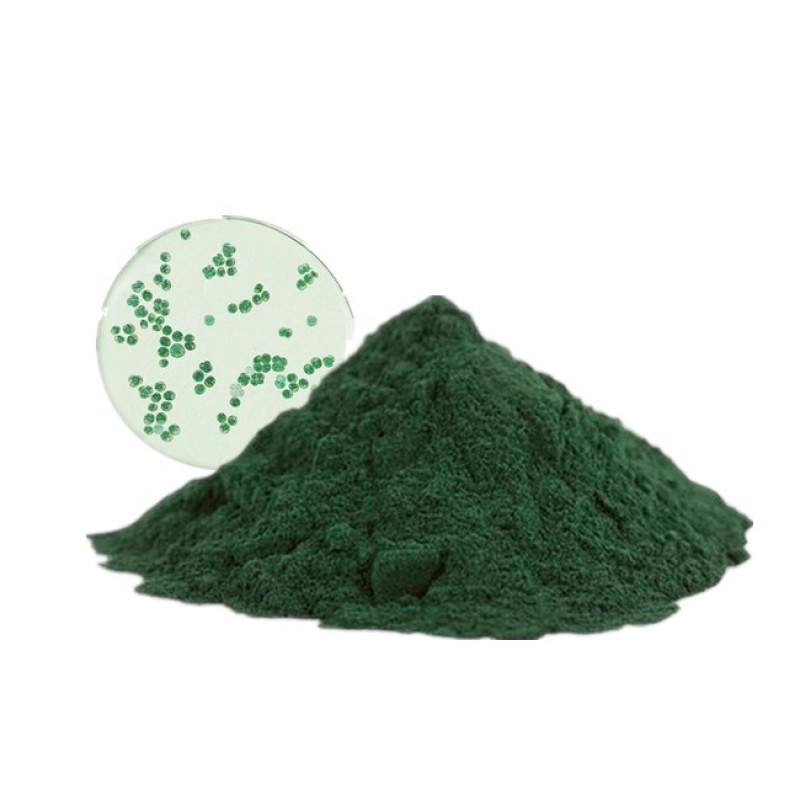 Chlamydomonas Reinhardtii Extract Powder Wholesale Price Algae Chlamydomonas Reinhardtii Powder 99%
