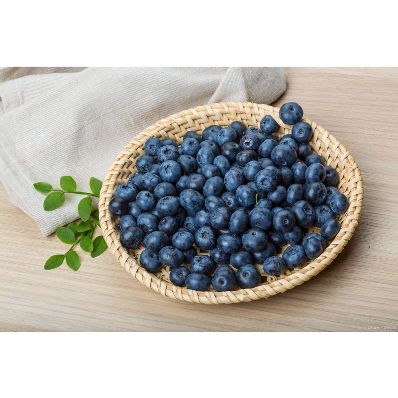 Wild Blueberry Powder Organic Food Grade Organic Blueberry Powder Fruit