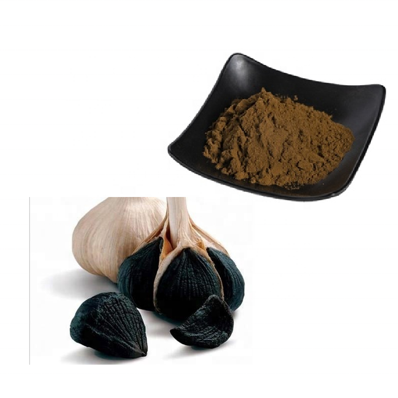 Black Garlic Extract Powder Supplement Black Garlic S-allylcysteine SAC Powder 1%