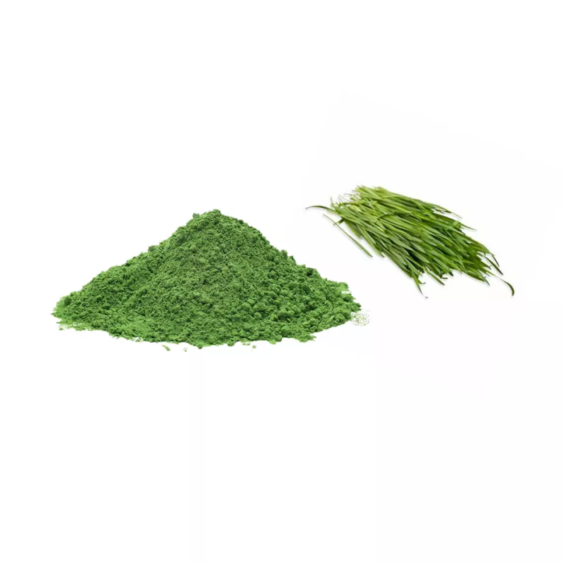 Organic ISO Halal Kosher BRC Certificated Hot Selling Barley Powder Grass Barley Grass Juice Extract Powder