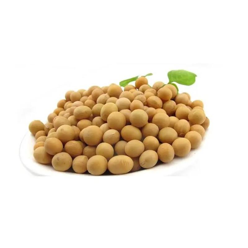 Bulk Soybean Germ Extract Soy Isoflavones Powder