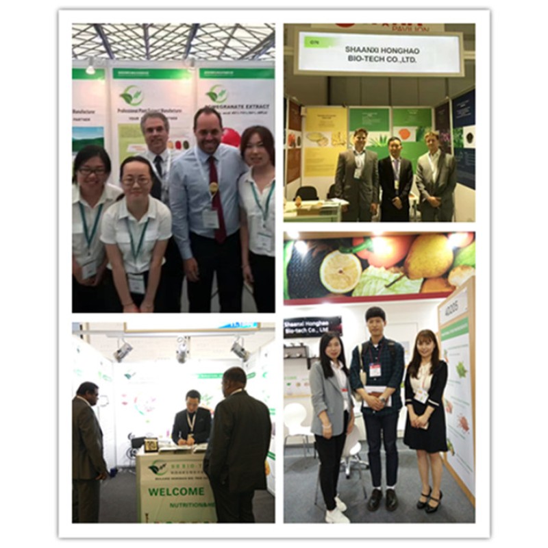 Food Grade Natural Pumpkin Powder Extract Solvent Extraction Chinese Factory Supply Bottle or Drum Packaging