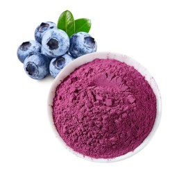 Wild Blueberry Powder Organic Food Grade Organic Blueberry Powder Fruit
