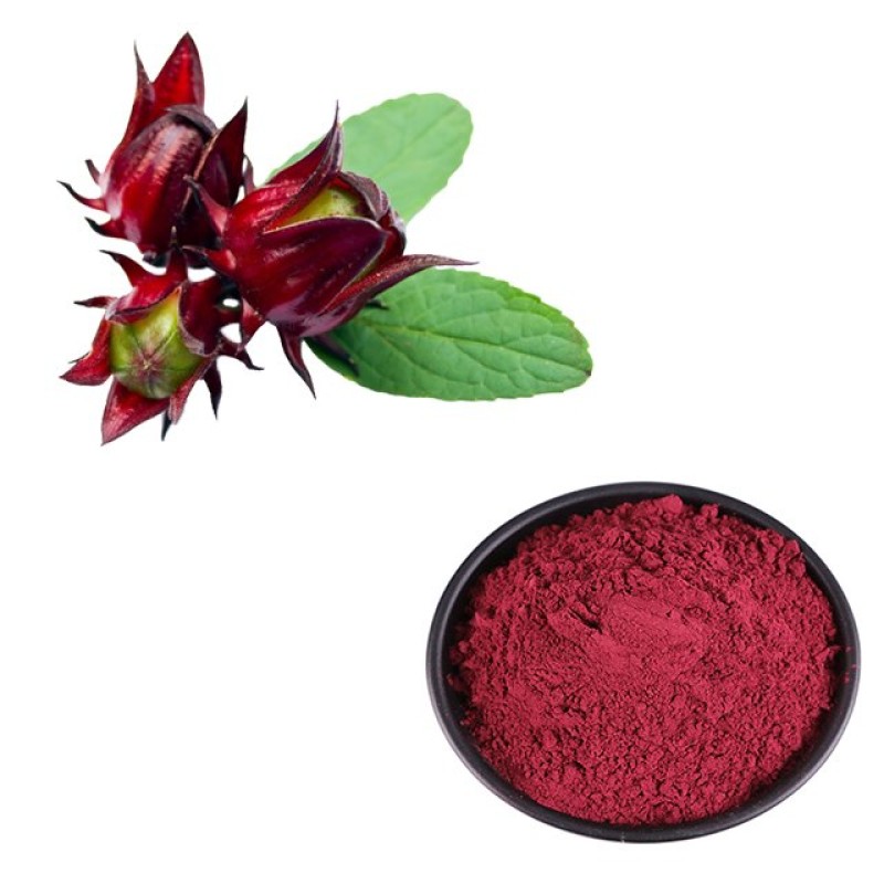 Factory Supply Wholesale Roselle Hibiscus Flower Powder Hibiscus Powder