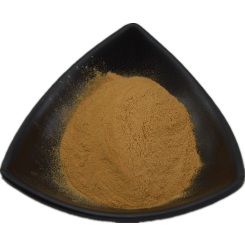 Tiger Milk Mushroom Extract Hot Sales Lignosus Rhinocerus Extract Powder 30% Polysaccharides Tiger Milk Mushroom Powder