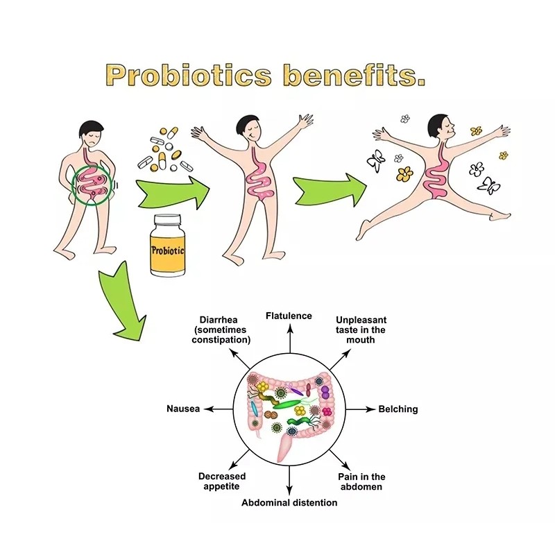 High Quality Lactobacillus Acidophilus Powder Feed Grade With Good Price