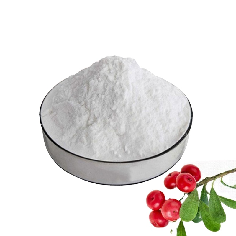 Factory Supply Good Quality Bulk Bearberry Leaf Extract Arbutin Powder Bearberry Leaf Extract Powder