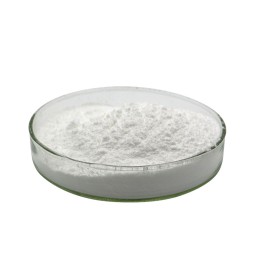 Factory Supply Good Quality Choline Chloride Powder 99%