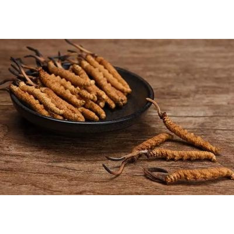 Bat Moth Penicillium Mycelium Powder Cordyceps Powder CS-4 Bulk Fermented Cordyceps Mycelium Powder