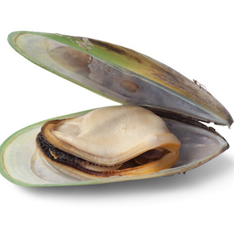 No Additives Green Lipped Mussel Powder