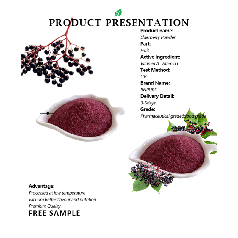 Wholesale Elderberry Extract 25% Anthocyanidins Elderberry Dried Fruit