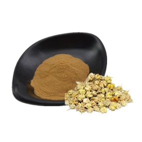 Tribulus Terrestris Saponin Powder 90% Raw Material Tribulus Terrestris Extract Capsules Tribulus Extract Saponins