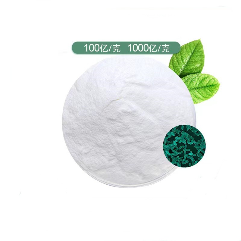 High Quality Bulk High Activity Probiotic Bacterial Lactobacillus Acidophilus Powder