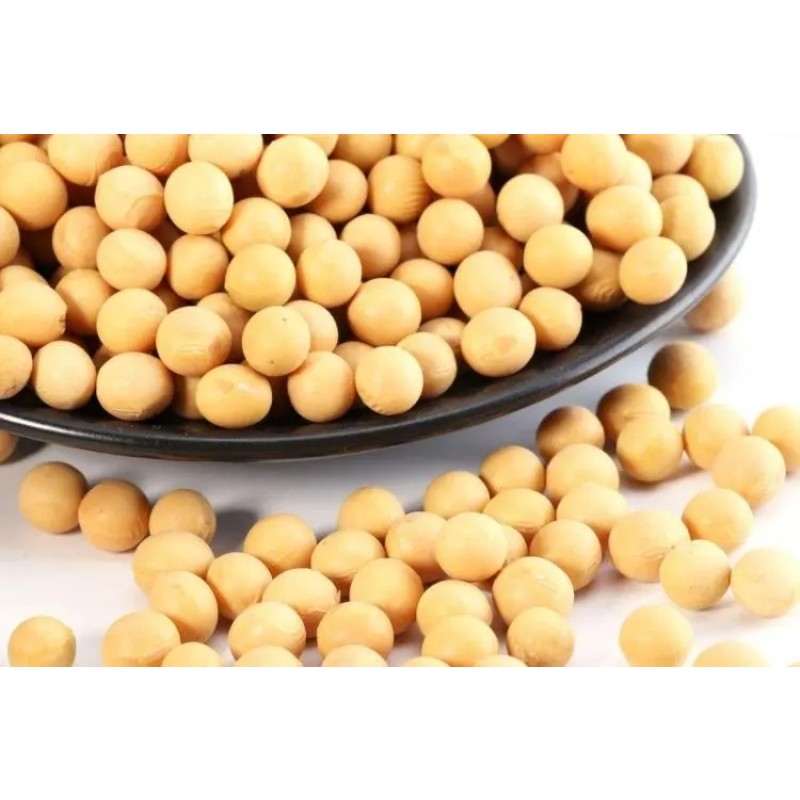 Nattiase Fermented Soybean Extract Organic Natto Extract Powder Nattokinase Enzymes Powder