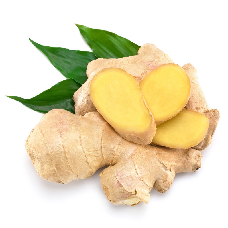 Ginger Root Extract Natural Wholesale Gingerol 5% Ginger Extract Powder
