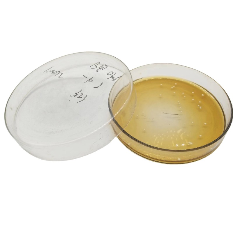 High Quality Lactobacillus Casei Probiotics Lactobacillus Casei Shirota Lactobacillus Casei Powder