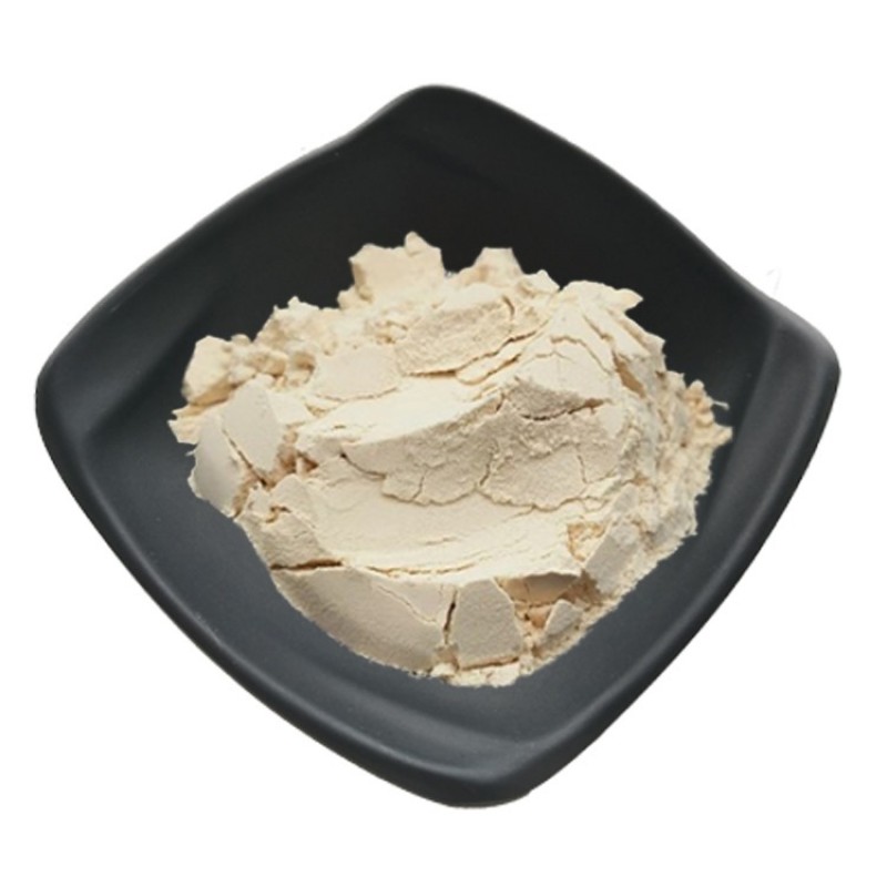 High Quality Nattokinase Natural Nattokinase 20000u/g Natto Extract Nattokinase Powder