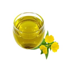 Natural Evening Primrose Capsules Seed Oil Liquid Good Quality Evening Primrose Oil Supplement