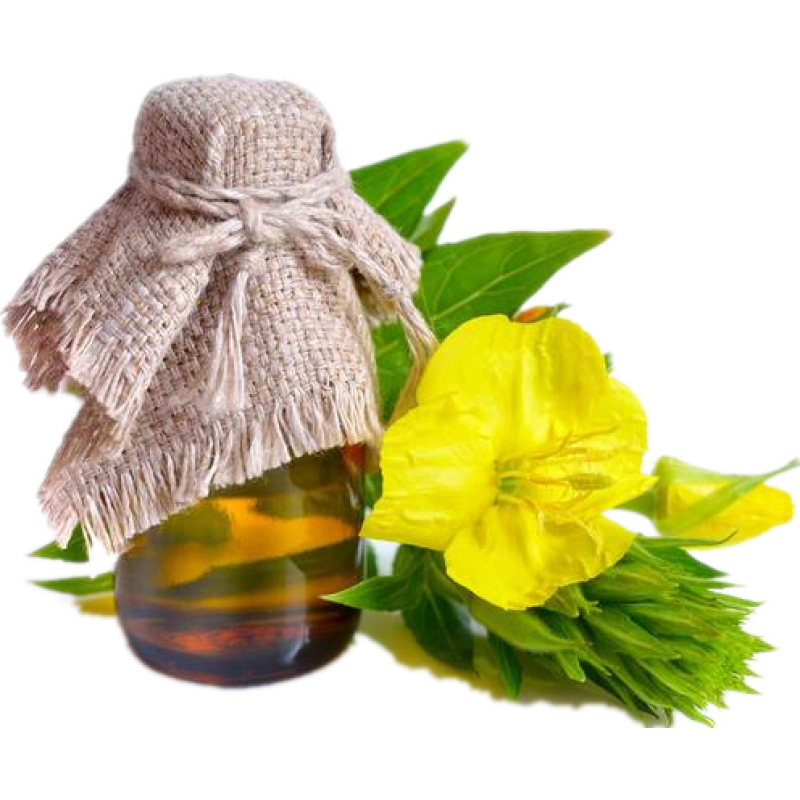 Natural Evening Primrose Capsules Seed Oil Liquid Good Quality Evening Primrose Oil Supplement