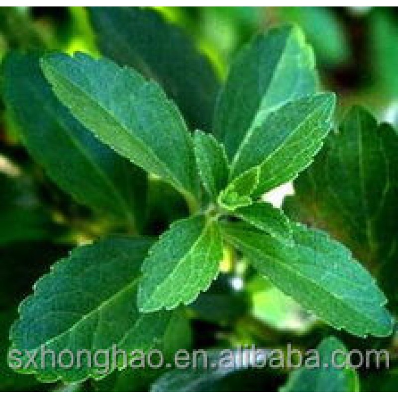 Wholesale Factory Supply Bulk Organic Stevia Extract Powder Stevia Extract Powder