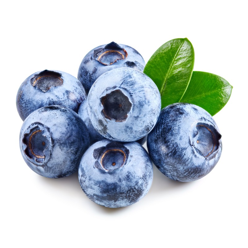 Fruit Extract Wild Blueberry Powder Blueberry Juice Powder Water Soluble Blueberry Fruit Powder