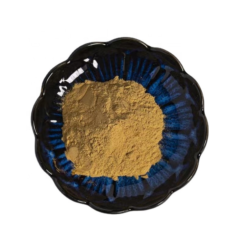 Wholesale Factory Supply Pure Rosemary Extract Powder Rosemary Leaf Extract Extract