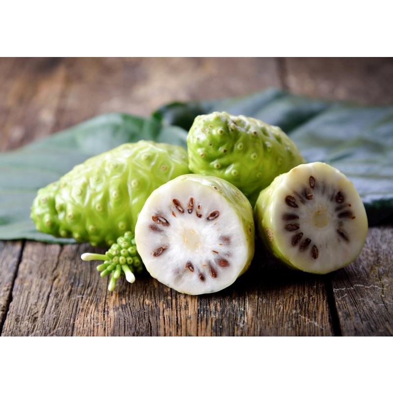 Noni Extract Powder Wholesale Natural Noni Fruit Powder Noni Powder Food Grade