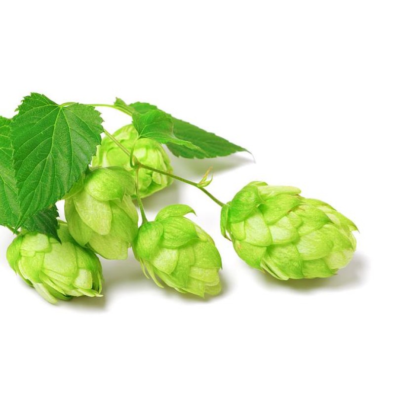 Humulus Lupulus Extract Flavones Wholesale Bulk Hops Extract Flavonoids Powder 4%