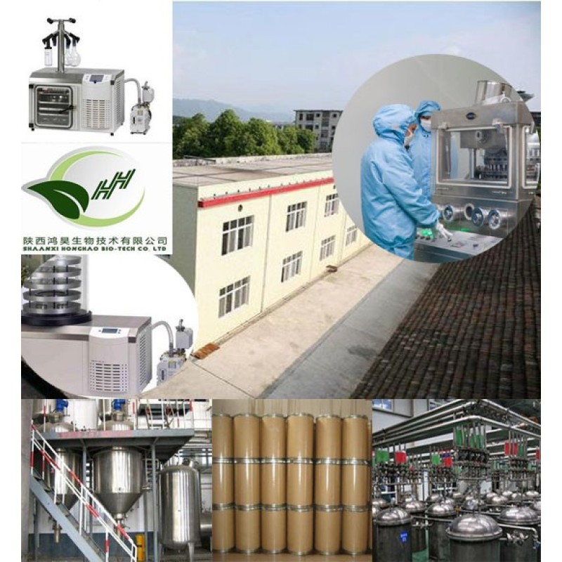 Factory Supply Good Quality Choline Chloride Powder 99%