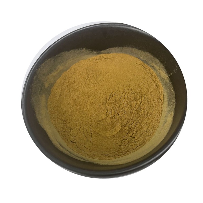 60% Hydroxycitric Acid Garcinia Cambogia Extract 60% HCA