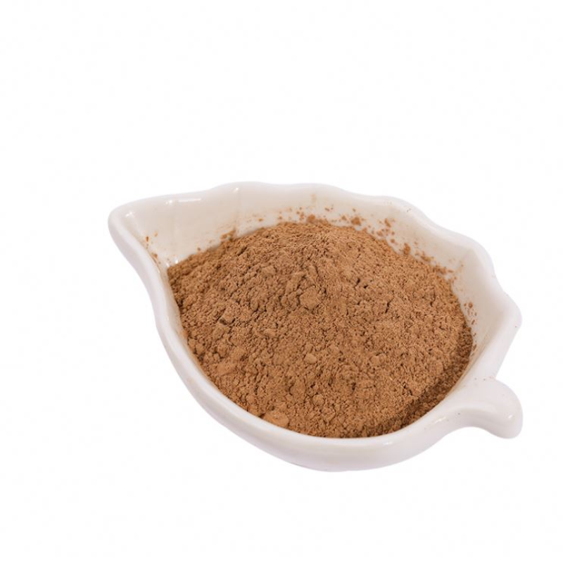 Oyster Mushroom Extract Powder Polysaccharides Pleurotus Ostreatus 30% Oyster Mushroom Powder Food Grade Oyster Mushroom Extract