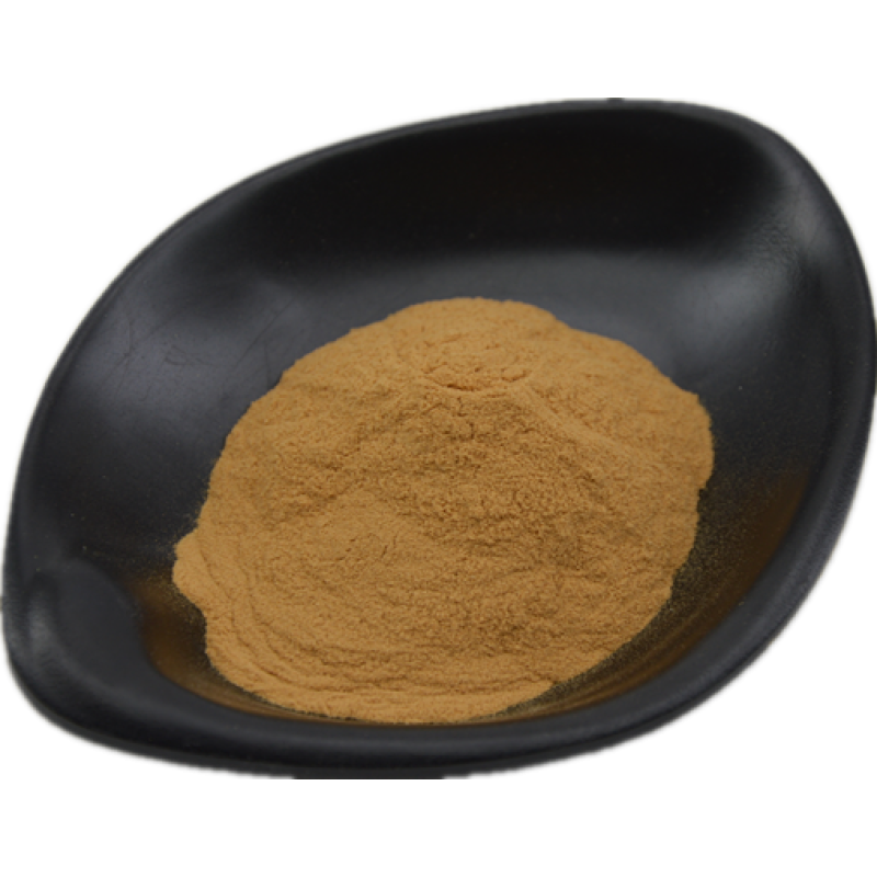 Maitake Mushroom Powder Fruiting Body Pure Natural Organic Maitake Powder