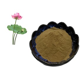 High Purity Natural Organic Lotus Leaf Extract Powder Weight Loss 1% 2% 98% Nuciferine