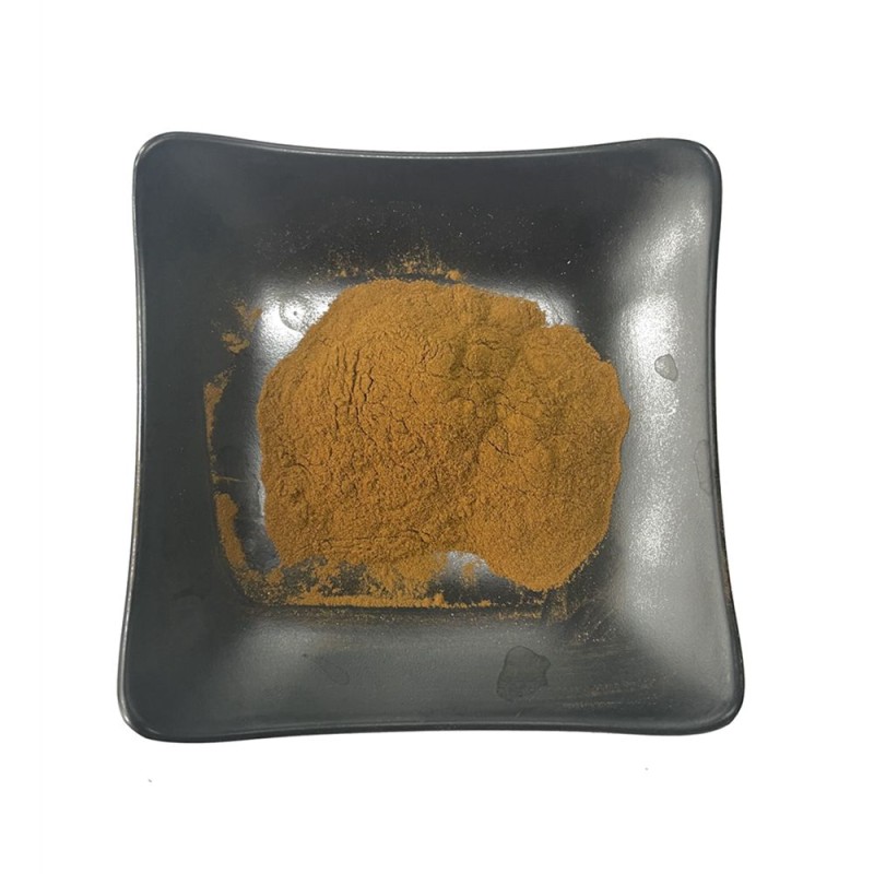 Water Soluble Reishi Extract 10-50% Polysaccharides