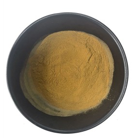 Good Quality Honghao Whole Buy Ajuga Turkestanica Extract Turkesterone 20%