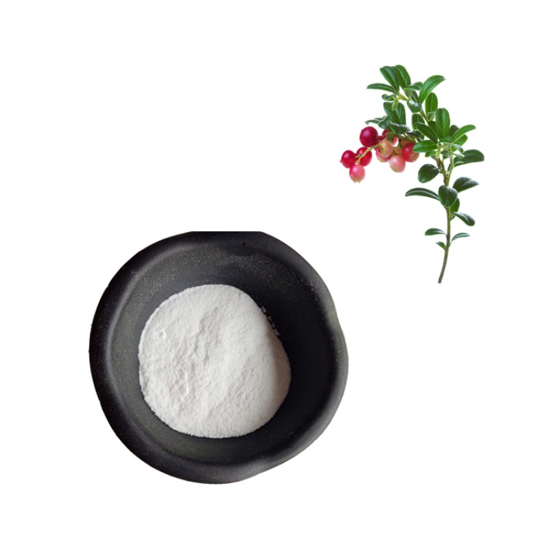 Factory Supply Good Quality Bulk Bearberry Leaf Extract Arbutin Powder Bearberry Leaf Extract Powder