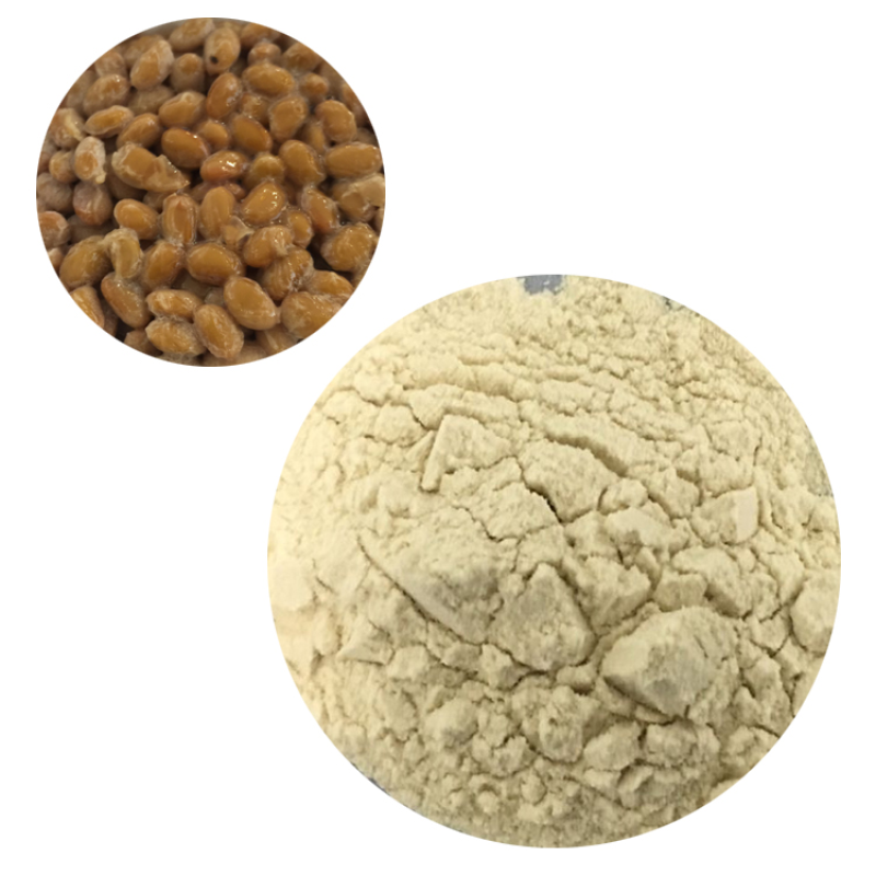 High Quality Nattokinase Natural Nattokinase 20000u/g Natto Extract Nattokinase Powder