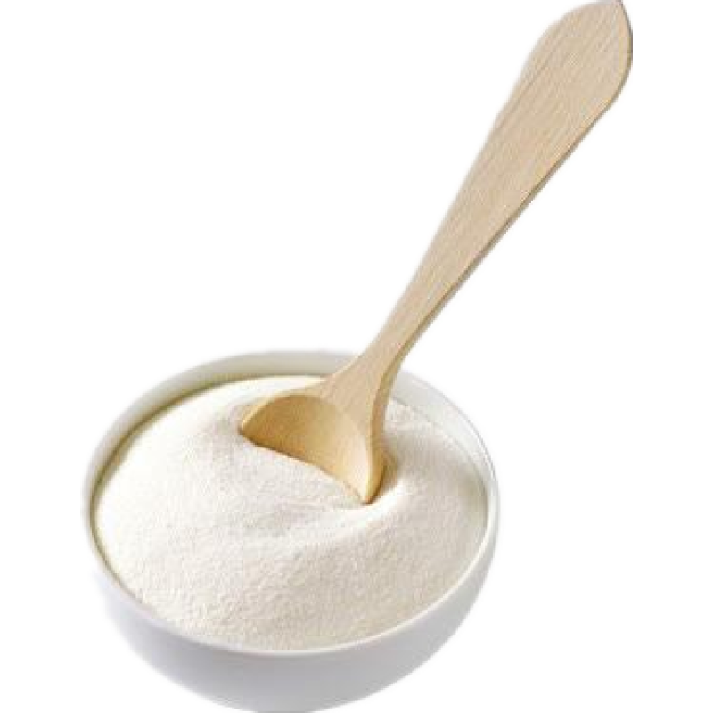 Lactobacillus Rhamnosus GG Good Quality Supply Probiotics Powder Lactobacillus Rhamnosus