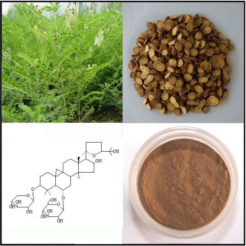 Organic Certificated Huangqi Extract Powder Organic Astragalus Extract Powder