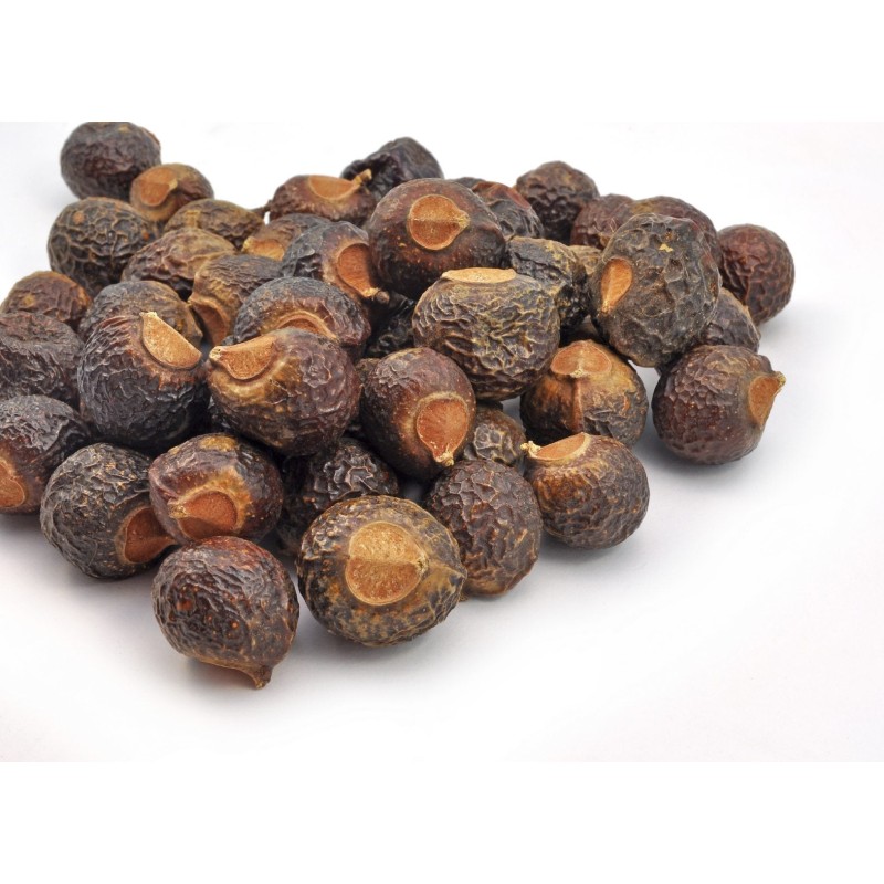 Factory Supply Wholesale  Soapnut Saponins Extract Soapberry Extract  Powder