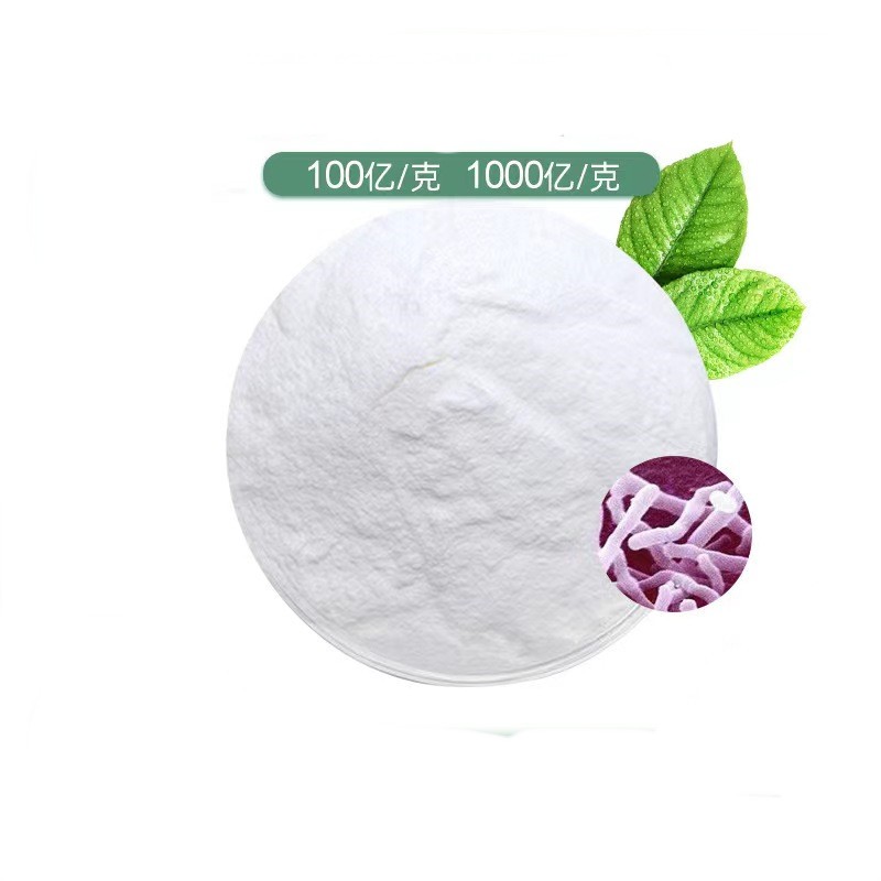 High Quality Lactobacillus Acidophilus Powder Feed Grade With Good Price