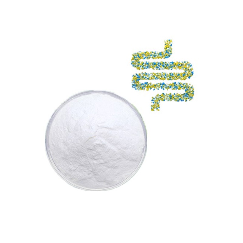 High Activity Probiotics Powder Food Grade 100Billion Bacillus Coagulans