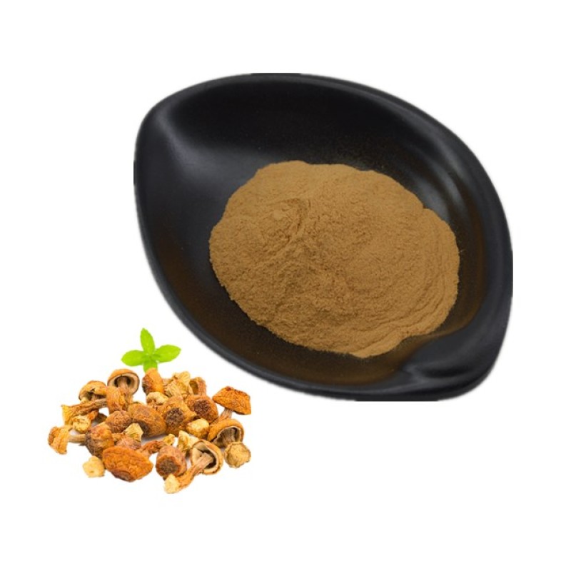 Mushroom Powder Extract Agaricus Blazei Powder Murill High Quality Agaricus Blazei Extract Beta Glucan 30%