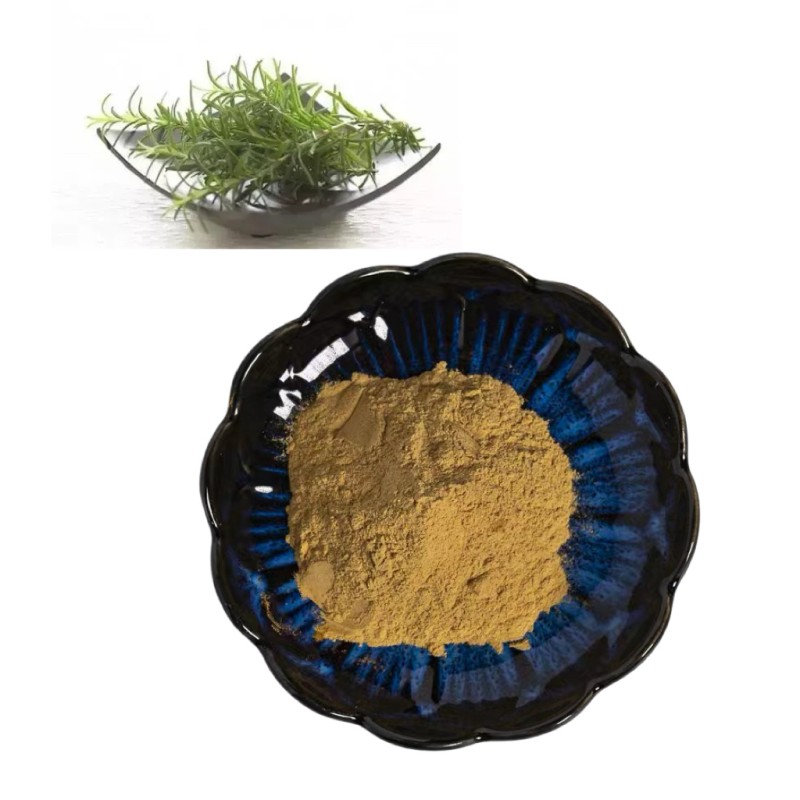 Wholesale Factory Supply Pure Rosemary Extract Powder Rosemary Leaf Extract Extract
