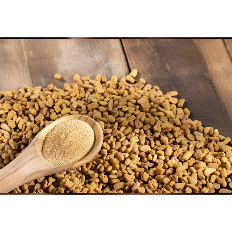 Fenugreek Extract Capsules Food Supplement Saponins Powder 50% Fenugreek Extract Powder