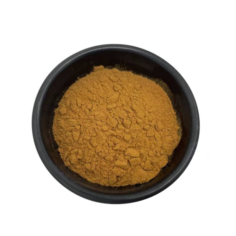 Wholesale Price Green Coffee Bean Extract 50% Chlorogenic Acid Powder