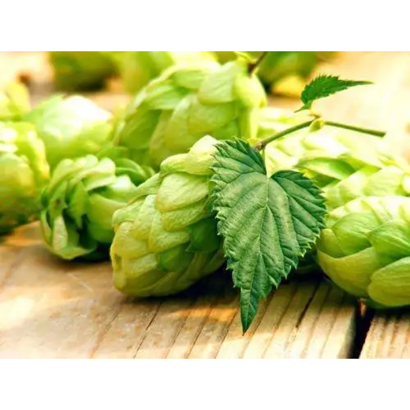 Humulus Lupulus Extract Flavones Wholesale Bulk Hops Extract Flavonoids Powder 4%