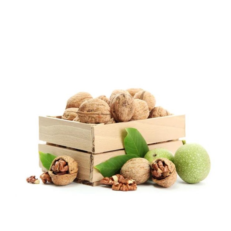 Halal Factory Bulk Black Walnut Seed Powder  High Quality Walnut Powder