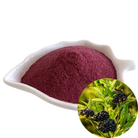 Wholesale Elderberry Extract 25% Anthocyanidins Elderberry Dried Fruit