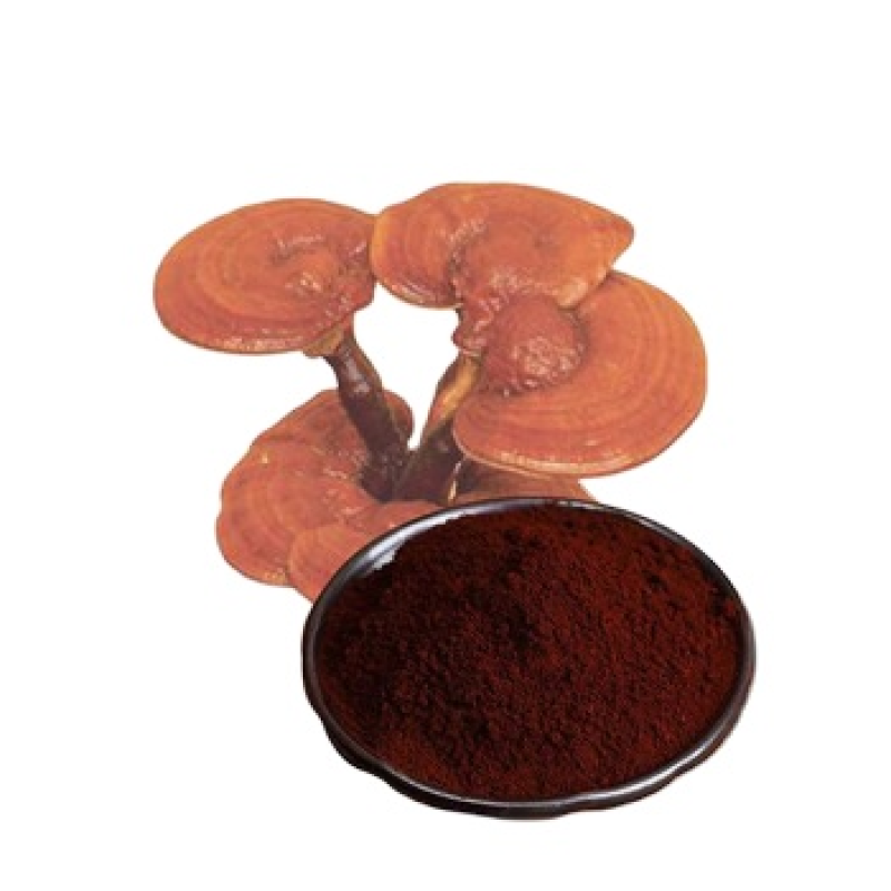 Manufacturer Supply Organic Certificated Reishi Mushroom Extract Powder 30%Beta Glucan